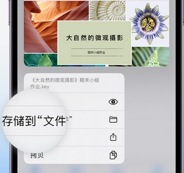 新绛apple维修中心分享iPhone文件应用中存储和找到下载文件