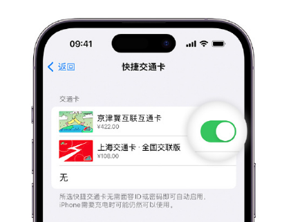 新绛apple维修点分享iPhone上更换Apple Pay快捷交通卡手绘卡面 