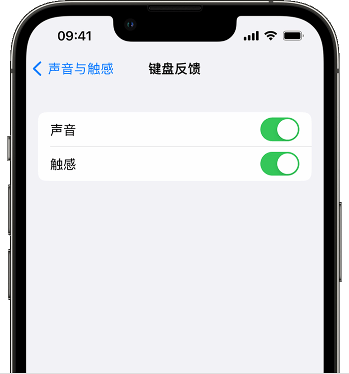 新绛苹果14维修店分享如何在 iPhone 14 机型中使用触感键盘 