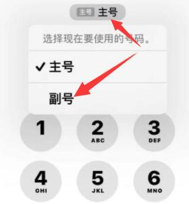 新绛苹果14维修店分享iPhone 14 Pro Max使用副卡打电话的方法 